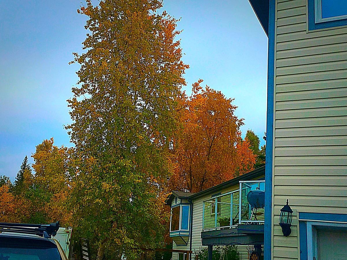 Mabuhay Lakeside Manor Bed & Breakfast Yellowknife Bagian luar foto